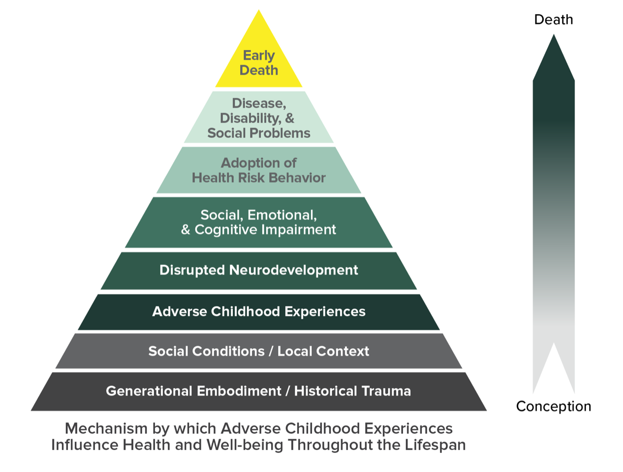 ace_pyramid_lrg Confronting Childhood Trauma